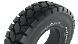pneu_GC_MS401_small