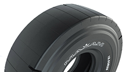 pneu_GC_MS502_small